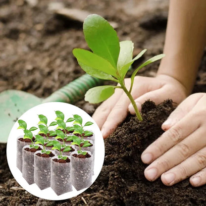 100-500Pcs Fabric Seedling Pots Biodegradable Grow Bags for Indoor and Outdoor Planting Cultivation Pouches for Home Garden Tool